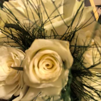 Çiçek Sepeti'nden Gelen Gül Demeti Kalitesiz Ve Müşteri Hizmetleri Ulaşılamaz