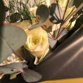 Çiçek Sepeti'nden Gelen Gül Demeti Kalitesiz Ve Müşteri Hizmetleri Ulaşılamaz