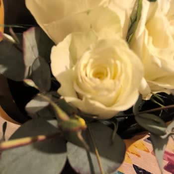 Çiçek Sepeti'nden Gelen Gül Demeti Kalitesiz Ve Müşteri Hizmetleri Ulaşılamaz