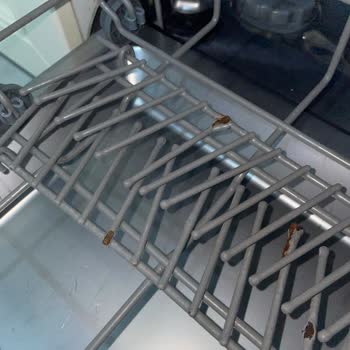 Teka Bulaşık Makinesi Sepetlerinde Aşırı Pas Ve Garanti Eksikliği