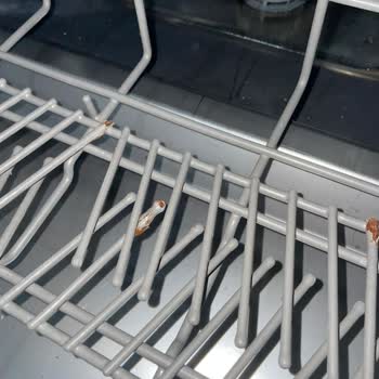 Teka Bulaşık Makinesi Sepetlerinde Aşırı Pas Ve Garanti Eksikliği