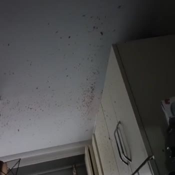 Karaca Düdüklü Tencere Patlamasıyla 50 Bin TL Maddi Zarar