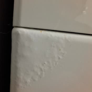 Siemens WM12T581TR Çamaşır Makinesinde Boya Atması Ve Kabarması Sorunu