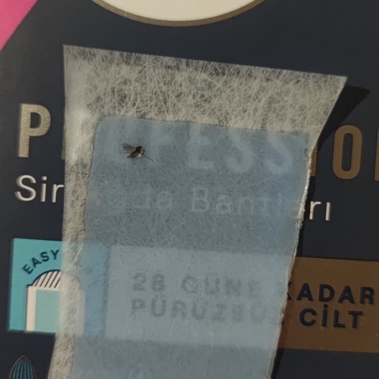 Veet Ağda Bandında Sinek Ölüsü Bulunması