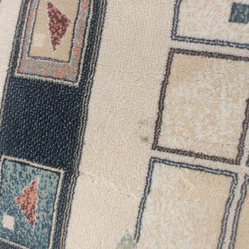 Sultangazi Papatyam Halı Koltuk Yıkama Şikayeti