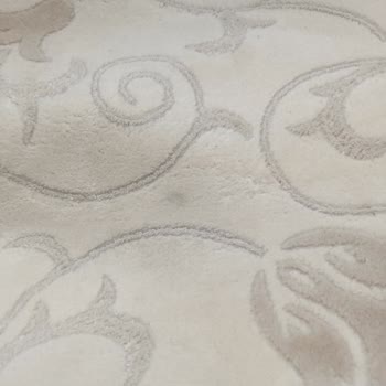 Sultangazi Papatyam Halı Koltuk Yıkama Şikayeti