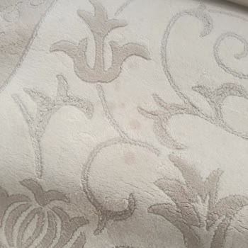 Sultangazi Papatyam Halı Koltuk Yıkama Şikayeti