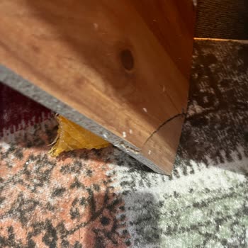 Yanlış Ve Hasarlı Ürün, Uzun Teslimat Ve Cevapsız Müşteri Hizmetleri Nedeniyle Tam İade Talebi