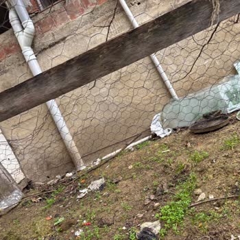 Acil Müdahale Gereken Apartmanda Tavuk Kümesi Ve Kokusunun Sağlık Üzerindeki Etkileri