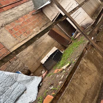 Acil Müdahale Gereken Apartmanda Tavuk Kümesi Ve Kokusunun Sağlık Üzerindeki Etkileri