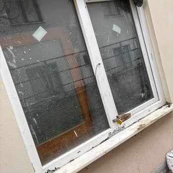 Acil Müdahale Gereken Apartmanda Tavuk Kümesi Ve Kokusunun Sağlık Üzerindeki Etkileri