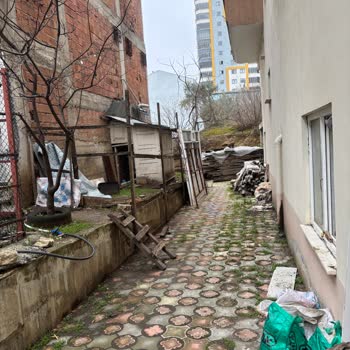 Acil Müdahale Gereken Apartmanda Tavuk Kümesi Ve Kokusunun Sağlık Üzerindeki Etkileri