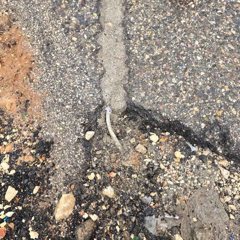 Okul Çevresindeki Düşük Elektrik Hattı Çocuk Güvenliğini Tehdit Ediyor