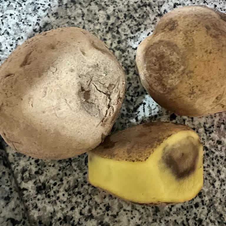 Çürük Patates Gönderimi Güveni Sarsıyor