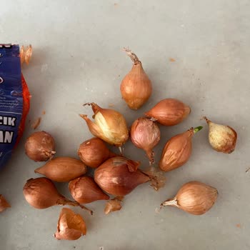 A101 Mağazasından Aldığım Arpacık Soğanların Çoğu Çürük Çıktı