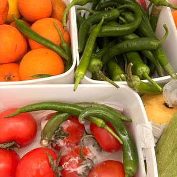 Bosch Buzdolabının Meyve Ve Sebze Bölümünde Hızlı Küflenme Ve Çürüme Sorunu