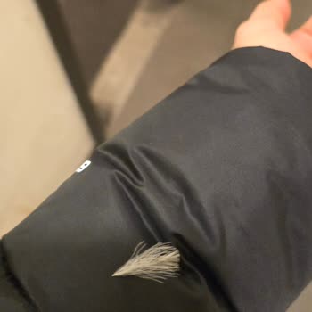 Yoğun Tüy Dökülmesi Ve Uzayan İade Süreci Hızlı Çözüm Gerektiriyor