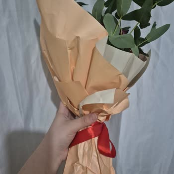 14 Şubat Çiçek Sepeti'nden Gelen Güller Kalitesiz Ve Kupon Teklifi Yetersiz