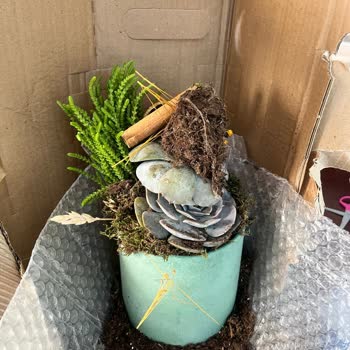 Kargodaki Çiçekler Paramparça Ve Toprak Dökülmüş, Acil Yeniden Gönderim Talebi