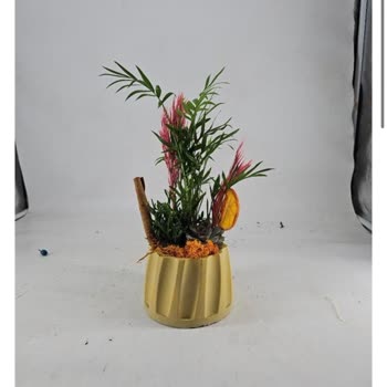 Kargodaki Çiçekler Paramparça Ve Toprak Dökülmüş, Acil Yeniden Gönderim Talebi