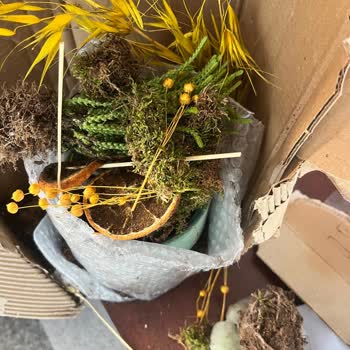 Kargodaki Çiçekler Paramparça Ve Toprak Dökülmüş, Acil Yeniden Gönderim Talebi