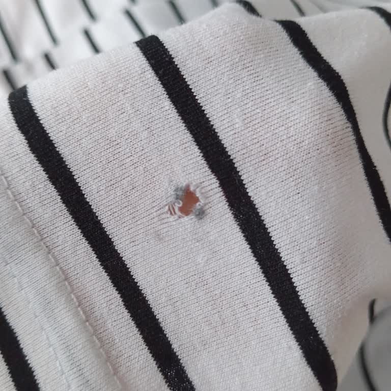 Haydigiy'de Defolu Ürün Ve Kargo Ücretinin İadesi Talebi