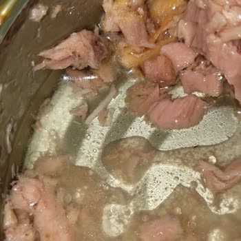 Ton Balığı Konservesinde Kılçık Bulunması Sağlık Tehlikesi Ve Güvenilirlik Sorunu