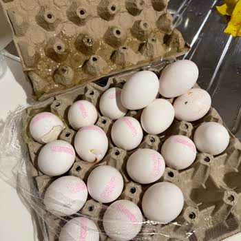 Migros Sanal Market’te Kırık Yumurta Ve Çürük Yeşillikler İçin Ücret İadesi Talebi