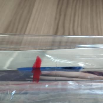 Kırık Kapı Çıta Takımı Ve Yanıtsız WhatsApp İletişimi Nedeniyle Yeniden Gönderim Talebi