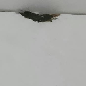 Hasarlı Mutfak Dolabı Parçası Ve Defolu Pano Askısı Ücretsiz Gönderilsin