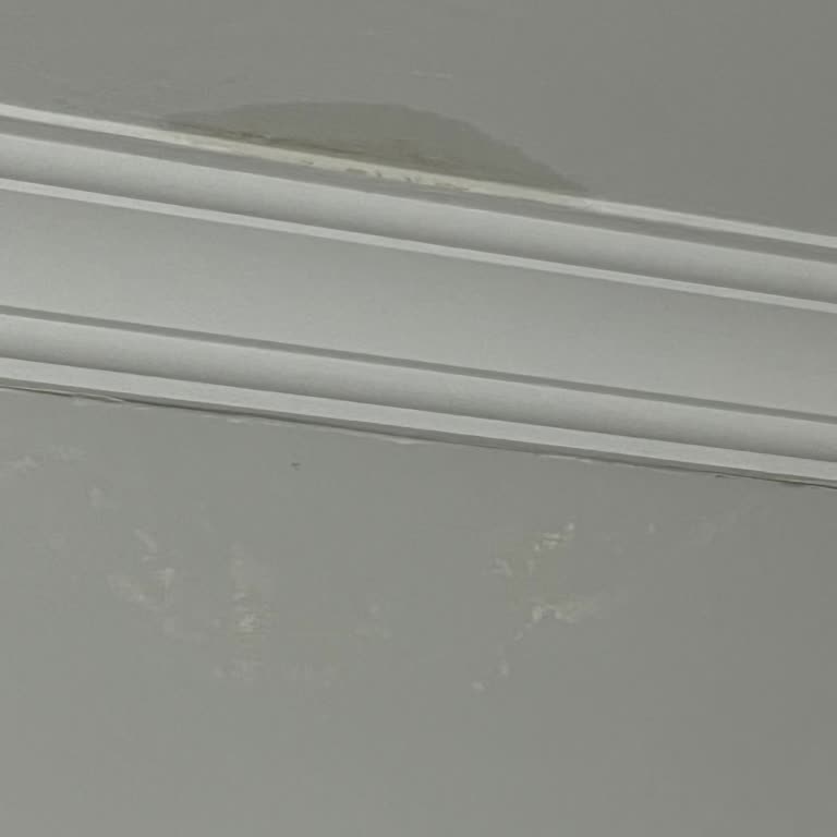 TOKİ Ve Hekimoğlu İnşaat'tan Su Sızıntısı Ve Rutubet Sorunu Çözümü Bekleniyor