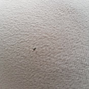 Üç Kez Değişim Yapıldı, Yine Defolu Koltuklar Ve Çözülmeyen Mağduriyet