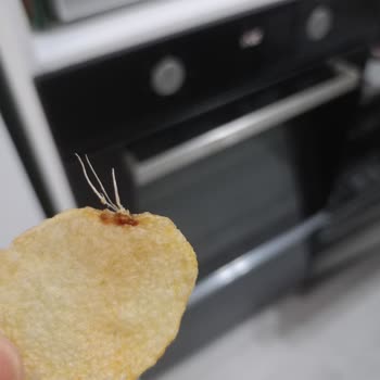 Foreign Substance Found In Lay's Sealed Pack