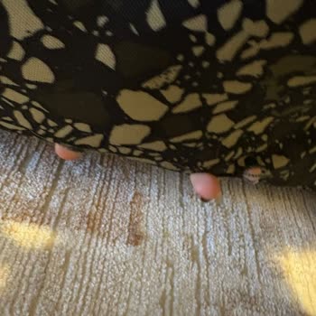 Ajet Uçuşunda Snowboard Çantamda Hasar Ve Su Geçirmezlik Özelliği Kaybı