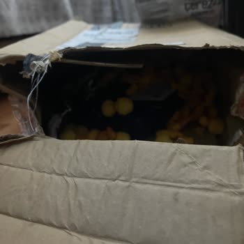 Şampuan Ve Cips Aynı Kutuda Gönderildi, Hijyen Ve Hasarlı Ambalaj Şikayeti