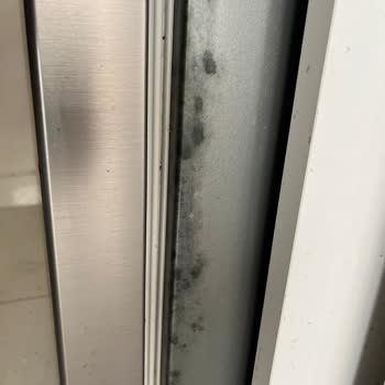 Yeni Buzdolabımda Çürüme Ve Boya Lekeleri, Çözüm Sunulmadı