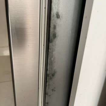 Yeni Buzdolabımda Çürüme Ve Boya Lekeleri, Çözüm Sunulmadı