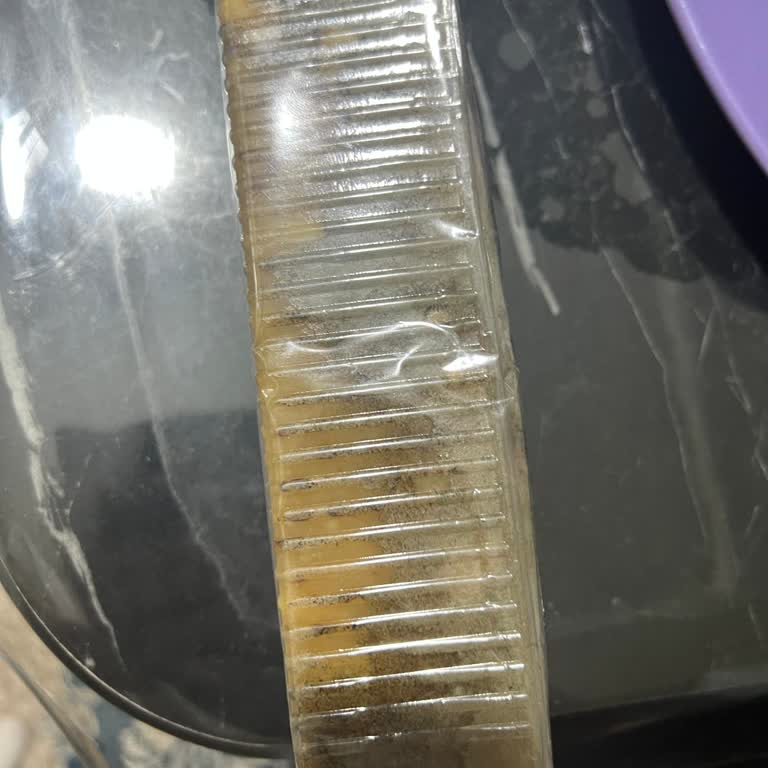 Başkent market Şikayeti