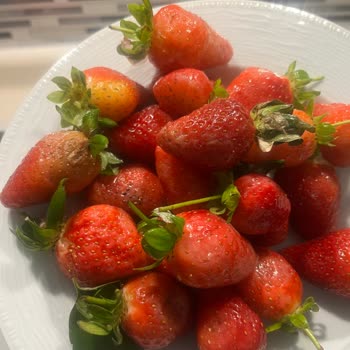 Çürük Çilekler Çocuklarımızı Mağdur Etti