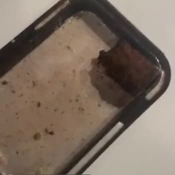 Harras Soğuk Baklava Taş Çıktı