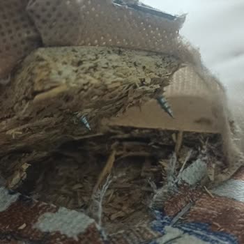 Sunta Ayağıyla Çatlayan Berjer, İade Ve Özür Talebi