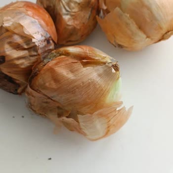 Kalitesiz Ve Son Kullanma Tarihi Yakın Ürün Şikayeti