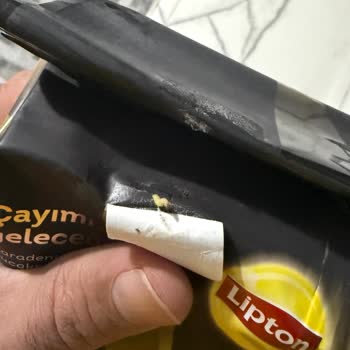 Lipton Çay Paketi İçinde Canlı Kurt Görüldü