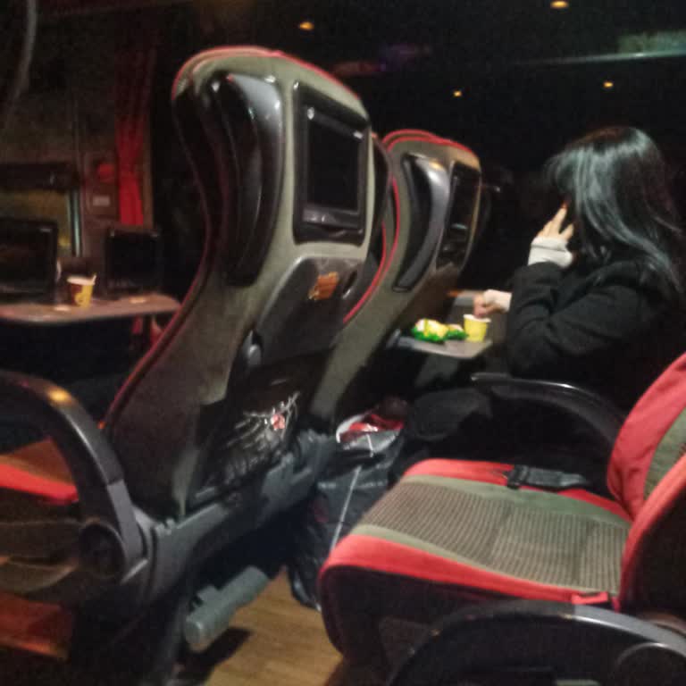 Kamil Koç Otobüsünde Yüksek Sesli Telefon Konuşması Ve Personel Müdahale Eksikliği