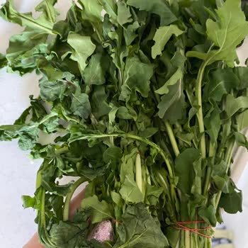 Getir Büyük Şikayeti