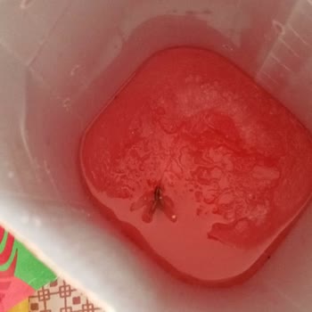 Dimes Meyve Suyunda Hijyen Skandalı Ve Cevapsız Şikayet