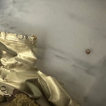 Antep Fıstığı Kabukları Nedeniyle Dişim Kırıldı