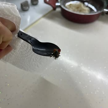 Ton Balığı Ürününde Parazit Benzeri Yabancı Cisim Gıda Güvenliği Riskine Yol Açtı