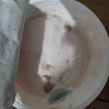 Küflü Yoğurt Üründe Hijyen Ve Gıda Güvenliği Endişesi