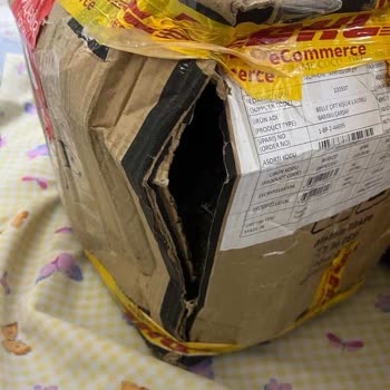 DHL Gönderiminde Porselen Yemek Takımı Hasarı Ve Satıcıda Maddi Zarar